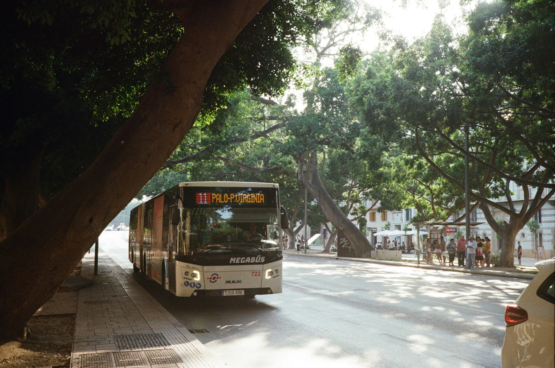 Key Tourist Bus Routes on the Costa del Sol: M-120, M-121 and More